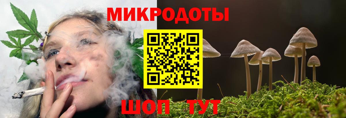 даркнет сайт  Вход с VPN  Дивногорск  Галлюциногенные грибы Psilocybine cubensis 